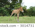 Parent 2 3014731
