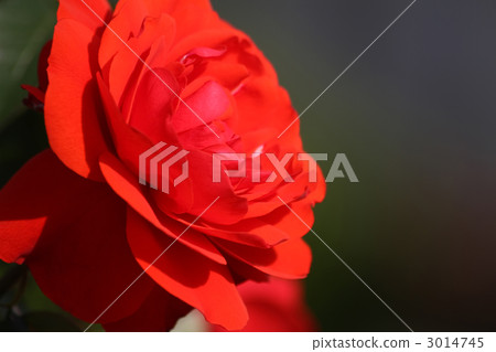 Stadt Elbire 3014745