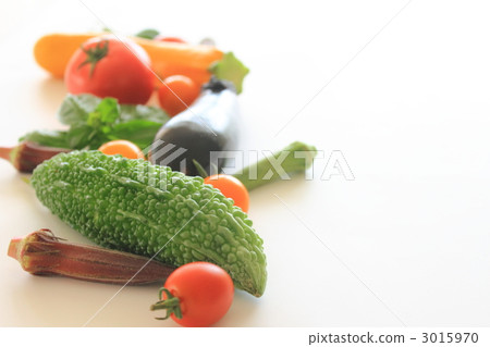 五顏六色菜夏天的菜 五顏六色菜夏天的菜 3015970