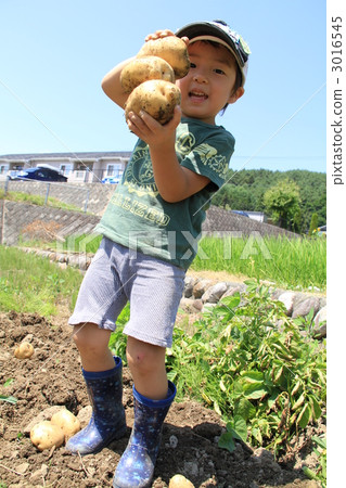 baby boy, boy, younger 3016545