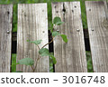 Prairie bench 3016748