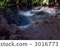 Male pond 3016773
