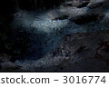 Male pond 3016774