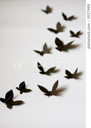 Butterfly Butterfly 3017469