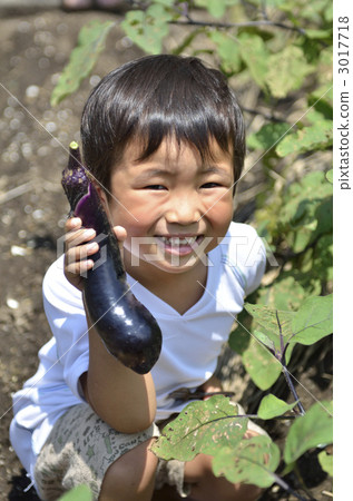 家庭花園 家庭花園 3017718
