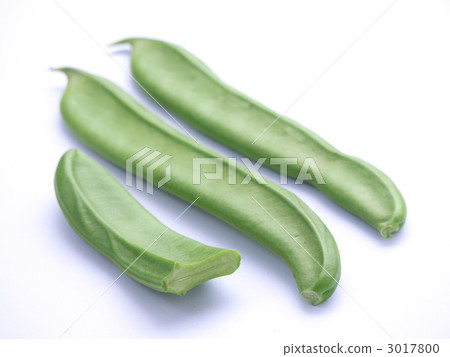 Nata bean Nata bean 3017800