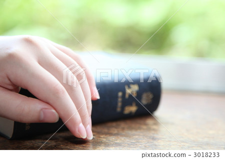 bible, the Bible, the Scripture 3018233