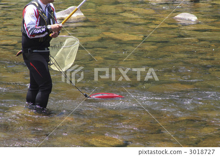 Ayu fishing 3018727