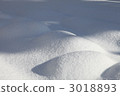 場雪 3018893