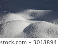 場雪 3018894