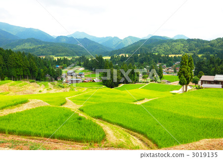 Rice terrace of Sanjo city Kita-gawa River Rice terrace of Sanjo city Kita-gawa River 3019135