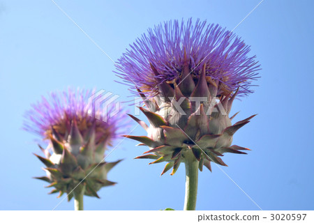 Attic choke Attic choke 3020597