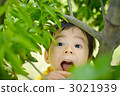 Three-year-old boy looking into trees 3021939