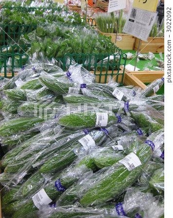 製片人直銷 3022092