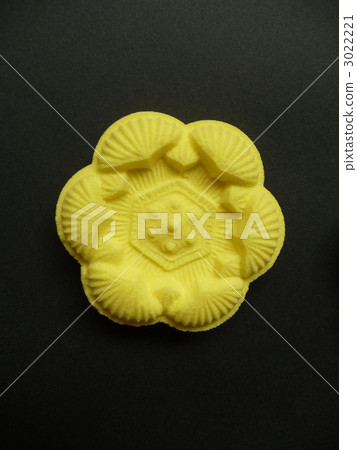 沉積下降的鵝 沉積下降的鵝 3022221