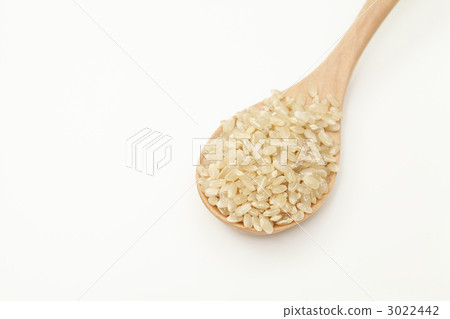 Brown rice Brown rice 3022442