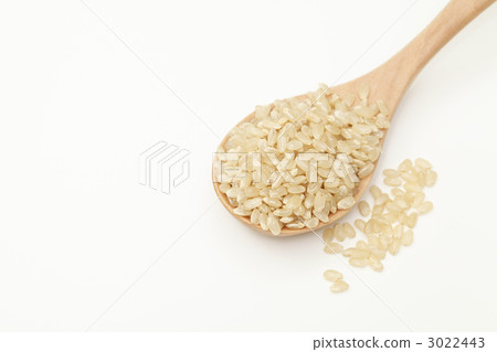 Brown rice Brown rice 3022443