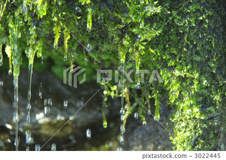 泉水 泉水 3022445