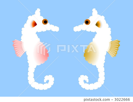 Two Seahorses - Stock Illustration [3022666] - PIXTA