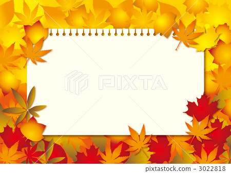 秋天的樹葉 3022818