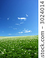 Potato field and blue sky 3024014