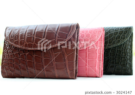 Crocodile leather goods 3024147