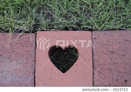 heart  3024722
