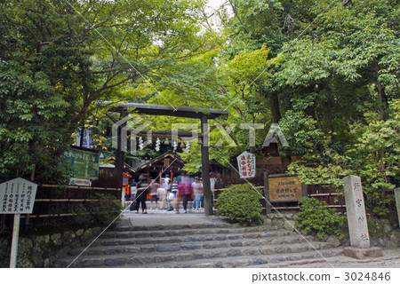 黑木的野宮神社鳥居 3024846