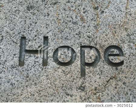 expectation, aspirations, hope 3025012