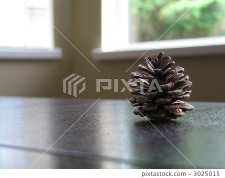 Pine cone display on the desk Pine cone display on the desk 3025015