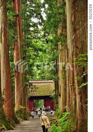 zuijin-mon (zuiijn gate), avenue of cedars, building 3025039
