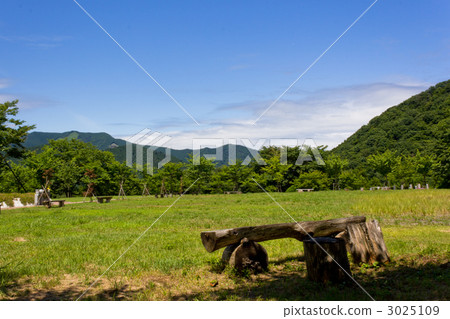 Plateau bench 3025109