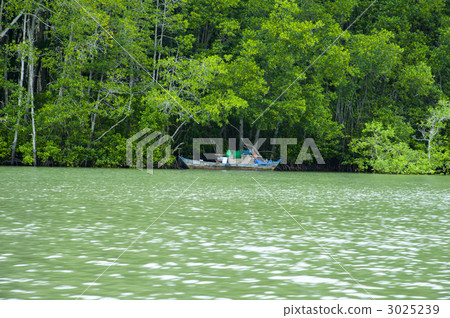 Mangrove Eco Tour Mangrove Eco Tour 3025239