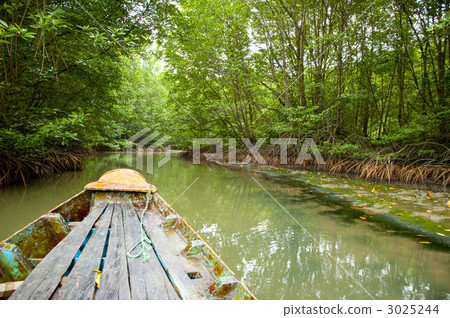 Mangrove Eco Tour Mangrove Eco Tour 3025244