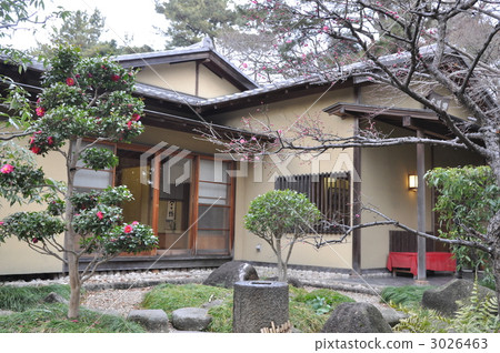 Narayonami在冬天 3026463