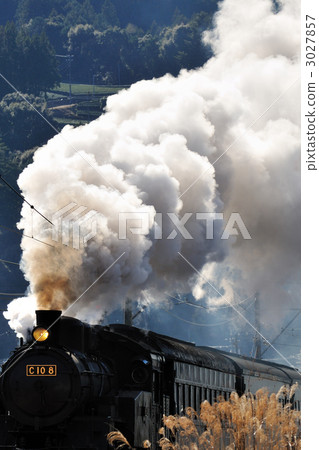 蒸汽機車 3027857