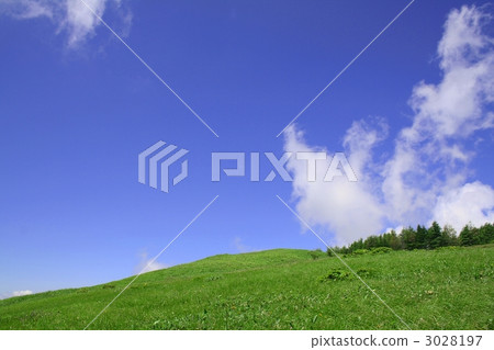 Meadow Meadow 3028197