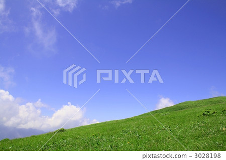 Meadow 3028198