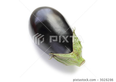 米茄子 3028286