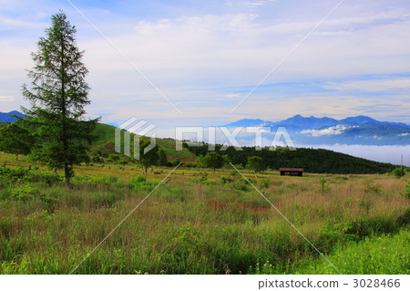 令人耳目一新的Kirigamine高原牧場早晨 3028466