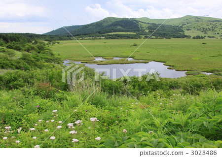 令人耳目一新的Kirigamine Takahara Yachima Mogara 3028486