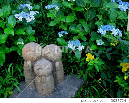 繡球花和地藏菩薩 繡球花和地藏菩薩 3028724