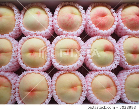 白色中國鳳凰 桃子 桃 3028998