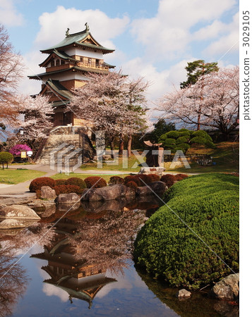 Cherry-blossoming Takashima Castle 3029105