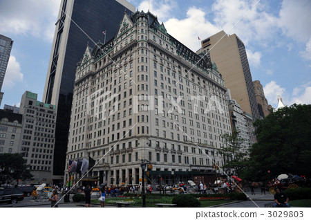 紐約廣場酒店 3029803