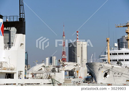 Oshimaru Tokyo Tower 3029903