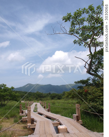 栃木縣 濕地 沼澤 3030068