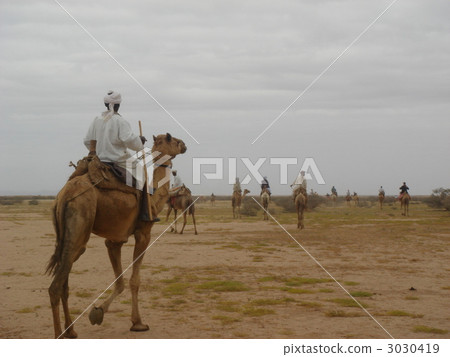 Camel ride in Sri Lanka 3030419