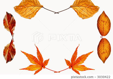 frame, foliage, leaf 3030422