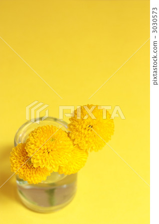 Ping-pong mum Ping-pong mum 3030573